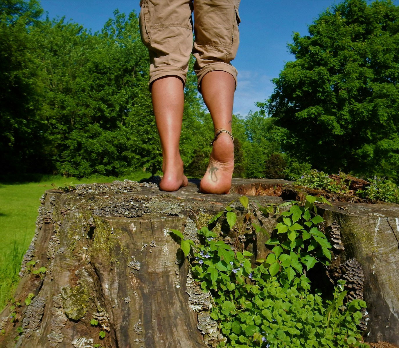 A person standing on top of a tree stump